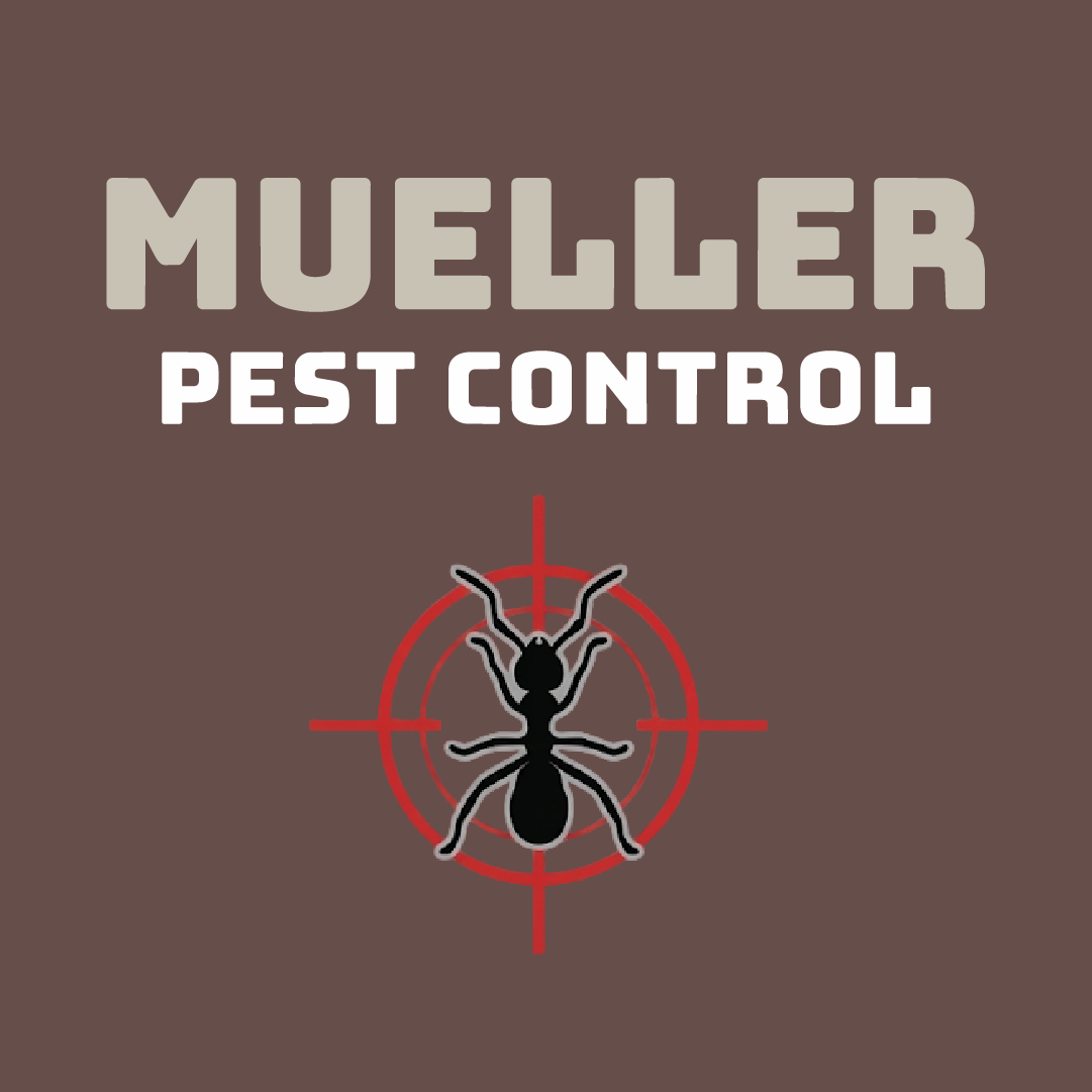 Mueller Pest Control — Anderson, Indiana Mueller Pest Control logo — MUELLER PEST CONTROL with red target and ant emblem